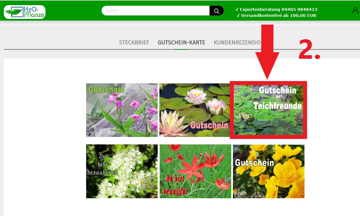120 Gutschein zum selbst Ausdrucken
