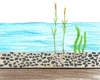 Info Bild über Wasserpflanzen
