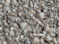 Preview: Muschelschalen Muschelkalk