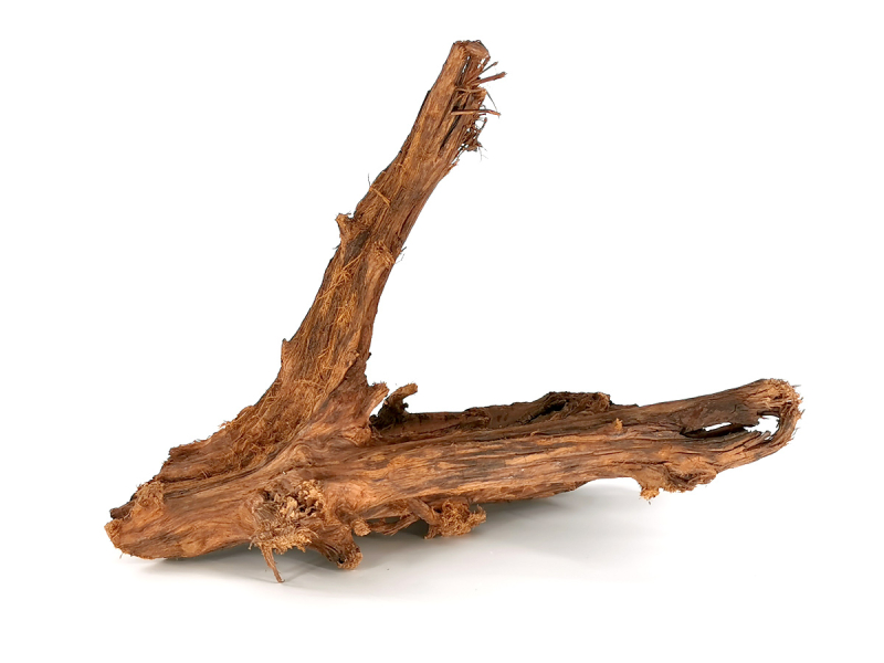 Preview: Mangroven-Wurzel XS-XL