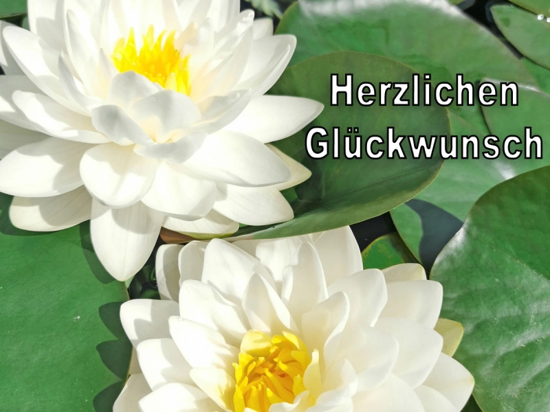 Gutschein 80€